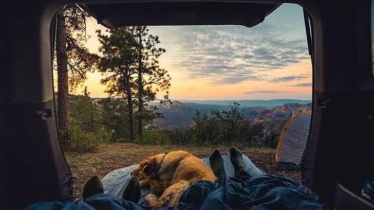 Onbezorgd camperreizen