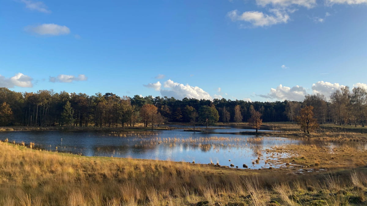 Brabantse Wal